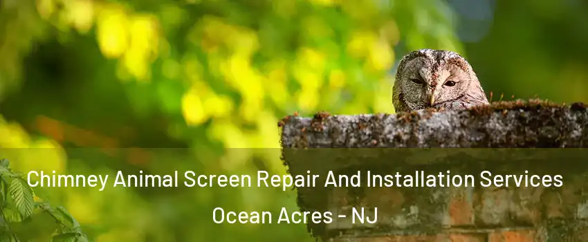  Chimney Animal Screen Repair And Installation Services Ocean Acres - NJ
