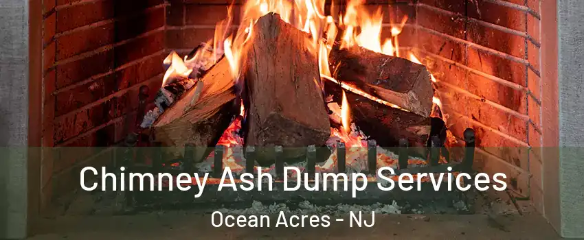  Chimney Ash Dump Services Ocean Acres - NJ