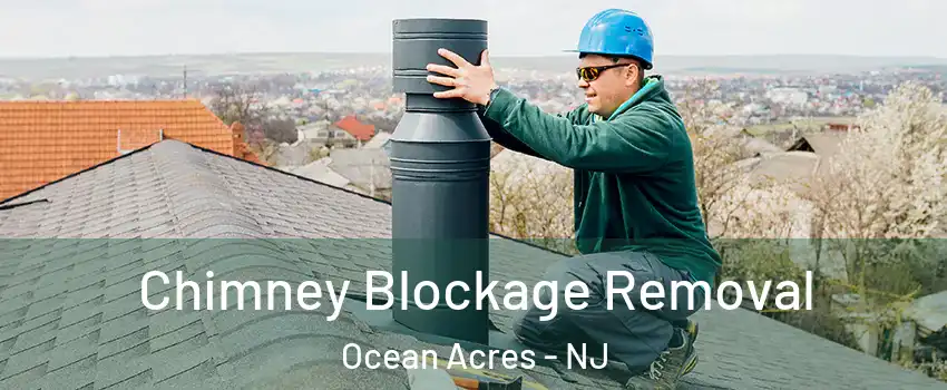  Chimney Blockage Removal Ocean Acres - NJ
