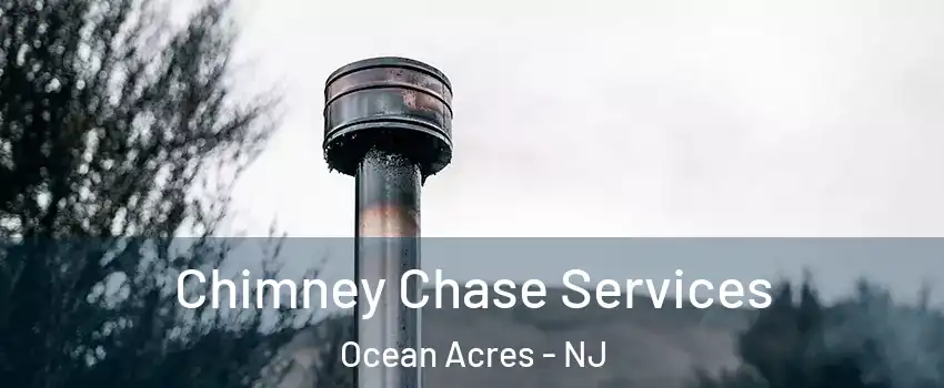  Chimney Chase Services Ocean Acres - NJ