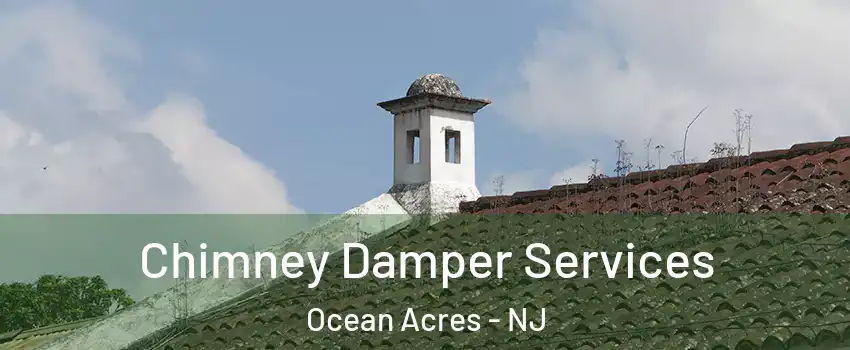 Chimney Damper Services Ocean Acres - NJ