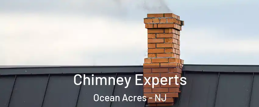  Chimney Experts Ocean Acres - NJ