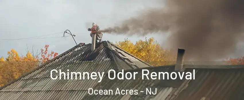  Chimney Odor Removal Ocean Acres - NJ