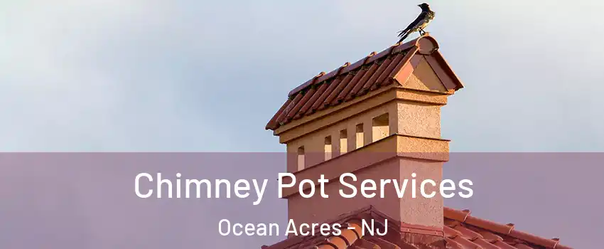  Chimney Pot Services Ocean Acres - NJ