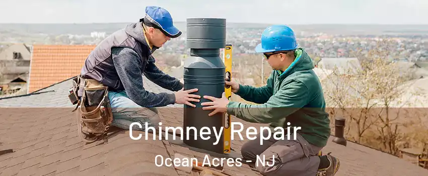  Chimney Repair Ocean Acres - NJ