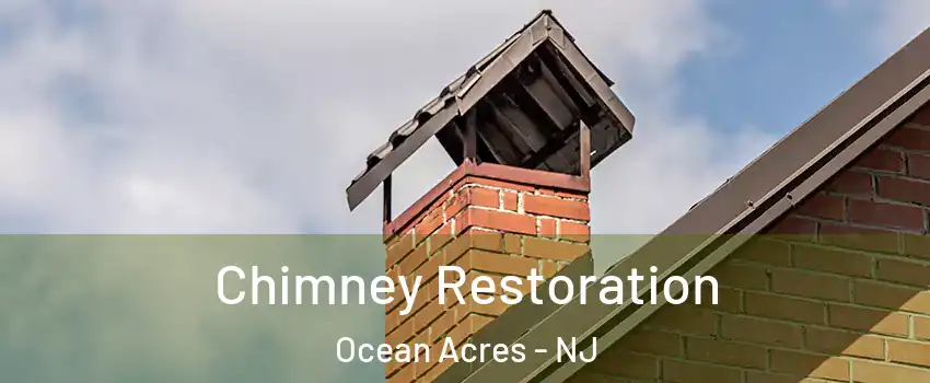  Chimney Restoration Ocean Acres - NJ