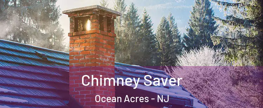  Chimney Saver Ocean Acres - NJ