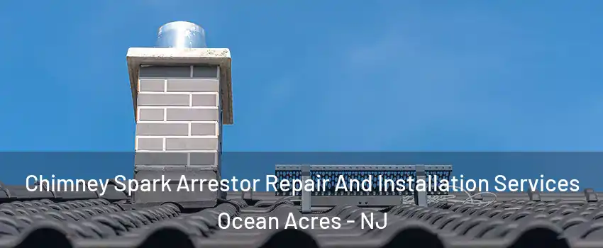  Chimney Spark Arrestor Repair And Installation Services Ocean Acres - NJ