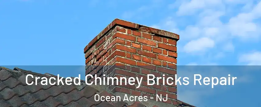  Cracked Chimney Bricks Repair Ocean Acres - NJ