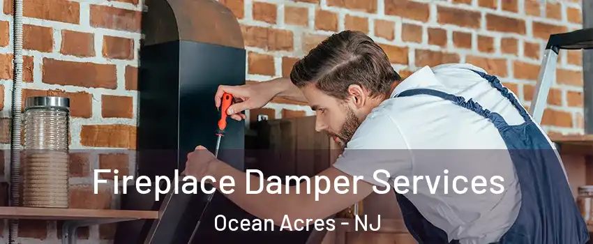  Fireplace Damper Services Ocean Acres - NJ