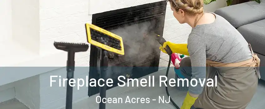  Fireplace Smell Removal Ocean Acres - NJ
