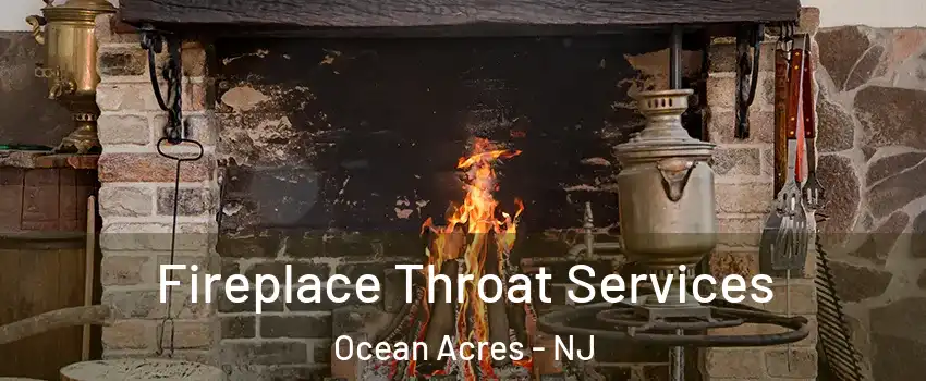  Fireplace Throat Services Ocean Acres - NJ