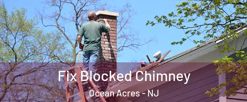 Fix Blocked Chimney Ocean Acres - NJ