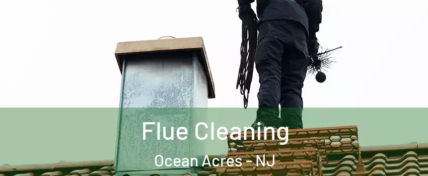  Flue Cleaning Ocean Acres - NJ