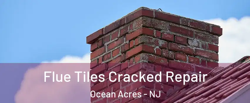  Flue Tiles Cracked Repair Ocean Acres - NJ