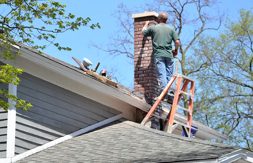 Chimney & Fireplace Inspections Services in Ocean Acres, NJ