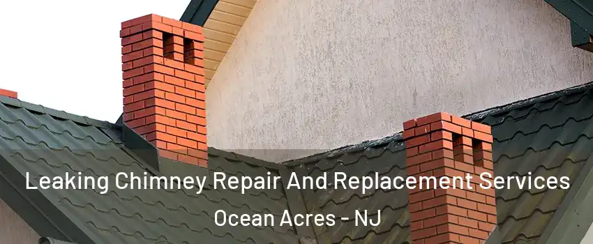  Leaking Chimney Repair And Replacement Services Ocean Acres - NJ