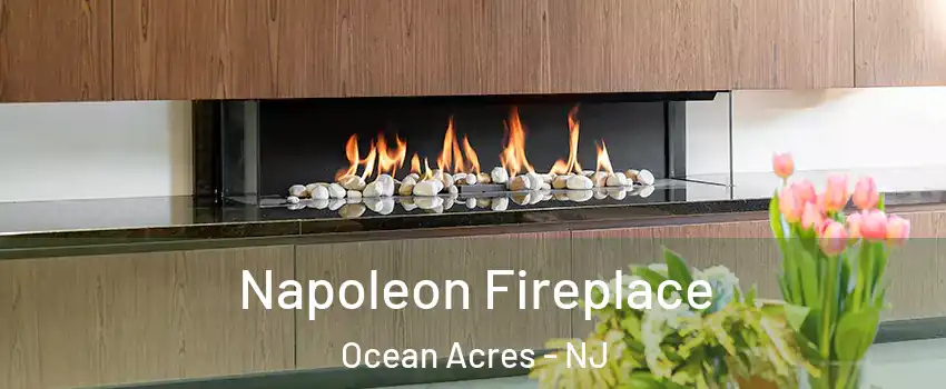  Napoleon Fireplace Ocean Acres - NJ