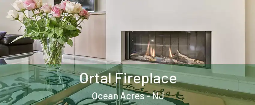  Ortal Fireplace Ocean Acres - NJ